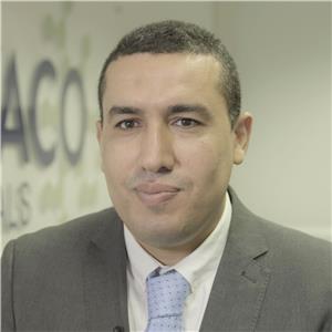 Mahmoud Elgammal